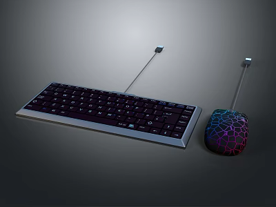Wired Computer Keyboard With Numeric Keypad And Colorful Mesh Design Mouse 3d model