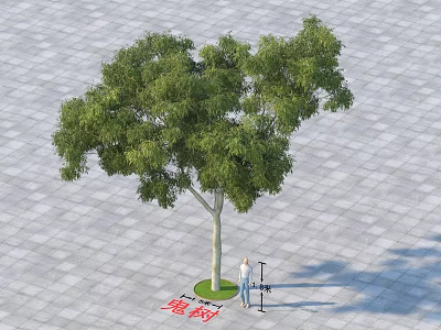 Tall Arbor With Lush Green Leaves And Person Nearby On Gray Pavement 3d model