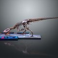 Modern skeleton dinosaur Jurassic pterosaur longnecked dinosaur 3d model