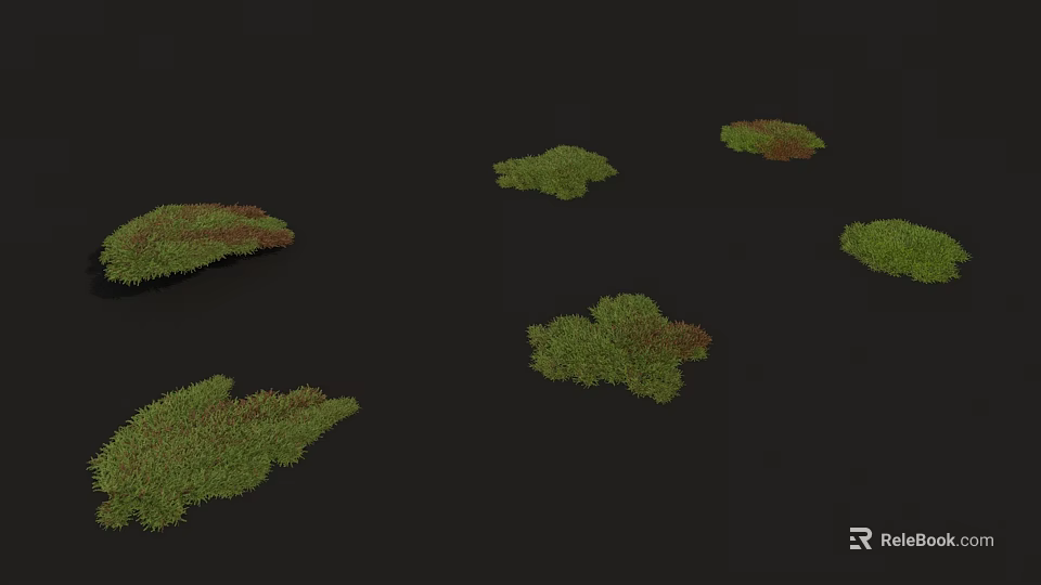 Clusters of Green and Red Flowers Growing on Black Background Surface 3d model 