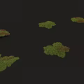 Clusters of Green and Red Flowers Growing on Black Background Surface