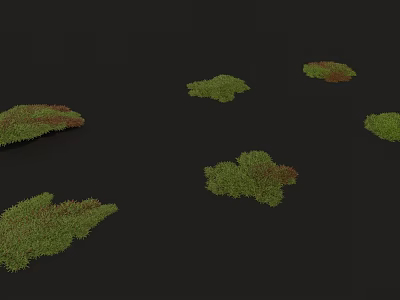 Clusters of Green and Red Flowers Growing on Black Background Surface 3d model