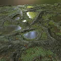 Natural stone surface with green moss covered holes and small water pool reflections