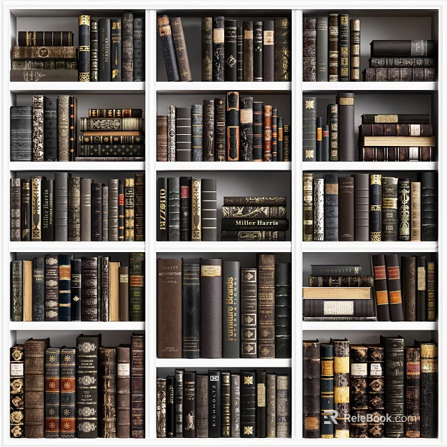 Tall Wooden Bookshelf Filled With Rows Of Classic Hardcover Books And Vintage Bindings 3d model 