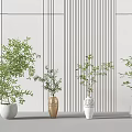 Four Various Style Vases with Green Plants Against White Wall Black Vertical Stripes