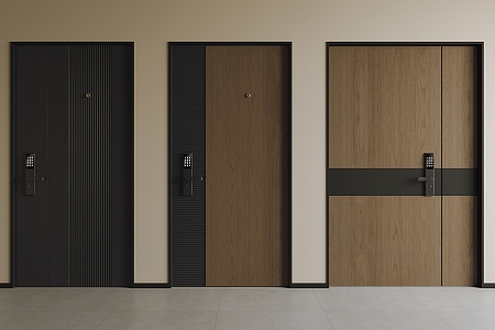 Modern Entry Door Single Door Security Door Smart Door Top Door 3d model