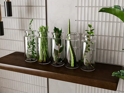 Glass Vases with Fresh Herbs and Leafy Plants on Wooden Shelf Against White Slatted Wall 3d model