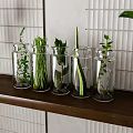 Glass Vases with Fresh Herbs and Leafy Plants on Wooden Shelf Against White Slatted Wall