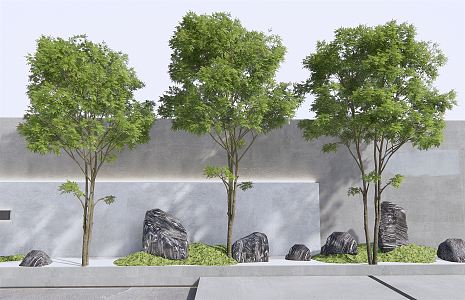 Modern tree landscape tree courtyard sketch stone 3d model