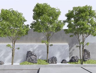 Modern tree landscape tree courtyard sketch stone 3d model