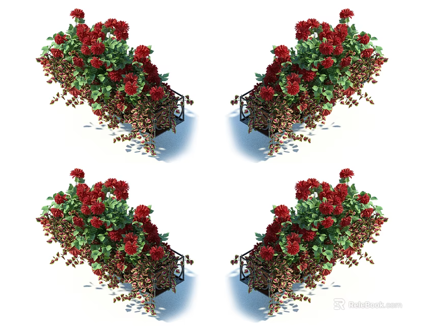 Four Potted Red Flower Plants With Lush Green Leaves And Decorative Planters 3d model 