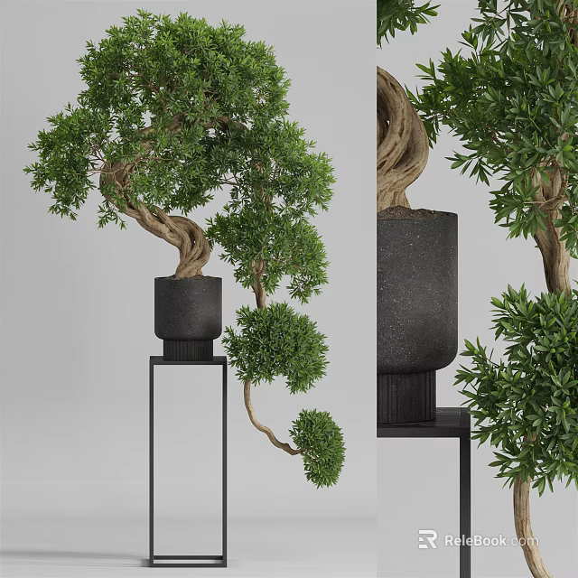 Lush Bonsai Tree With Curved Branches In Modern Black Pot On Metal Stand 3d model 