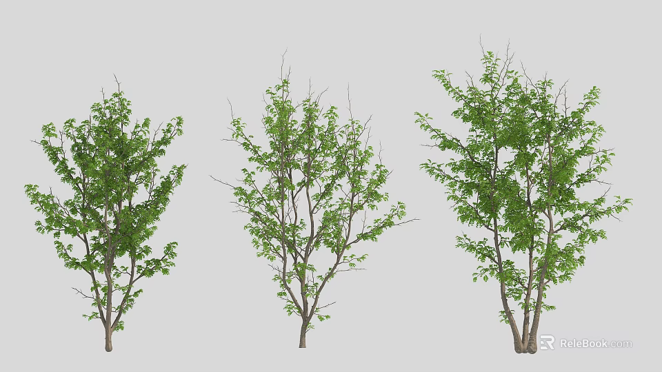 Three Arbor Trees With Varied Green Foliage And Natural Growth Forms 3d model 