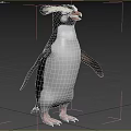 Beautiful Penguin With Yellow Crest And Black White Plumage Standing In Natural Habitat