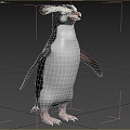 Yellow eyebrow penguin fjord penguin phoenix crown penguin fordland penguin 3d model