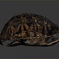 Tortoise With Intricate Brown And Black Striped Shell Pattern Design 3d model