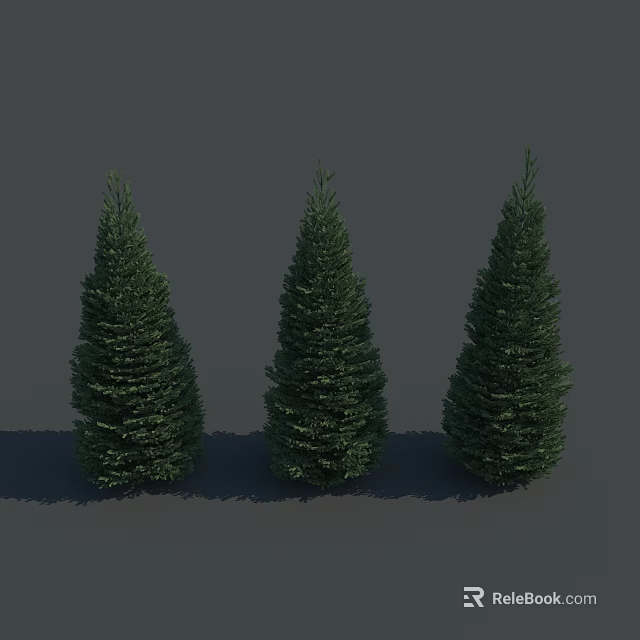 Three Green Conical Trees Standing Together Against Gray Background With Shadows 3d model 
