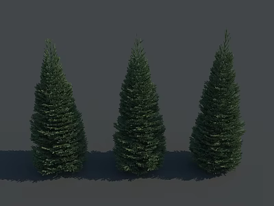 Three Green Conical Trees Standing Together Against Gray Background With Shadows 3d model