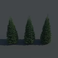 Three Green Conical Trees Standing Together Against Gray Background With Shadows 3d model