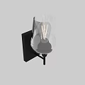 Modern Wall Light With Transparent Glass Shade Visible Bulb And Black Base