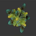 Indoor Decorative Plant with Green and Yellow Leaves in Green Pumpkin Shaped Vase
