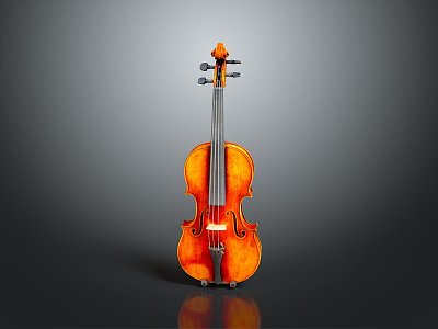 Violin Cartoon Violin Animation Violin Instrument String Western Instrument 3d model