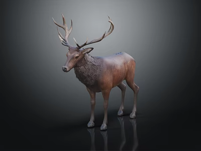 Realistic Deer Sculpture With Large Antlers On Dark Background With Shiny Reflection 3d model