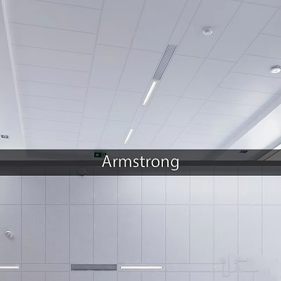 Armstrong Decorative Ornament Set with White Tile Ceiling and Modern Lighting 3d model