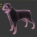 Realistic Rottweiler Stuffed Toy Black Brown Standing With Soft Smooth Texture