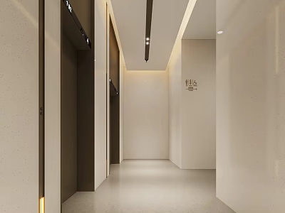 Modern Elevator Lobby With Sleek Doors Neutral Walls And Recessed Lighting 3d model