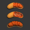 Three Anatomical Organ Models With Yellow Exterior And Red Internal Hair Like Structures