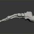 3D Rendered Human Hand Skeleton Model on Dark Background with Anatomical Details