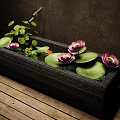 Ornamental Water Fountain With Rectangular Stone Basin Pink White Lotus Flowers And Green Lily Pads