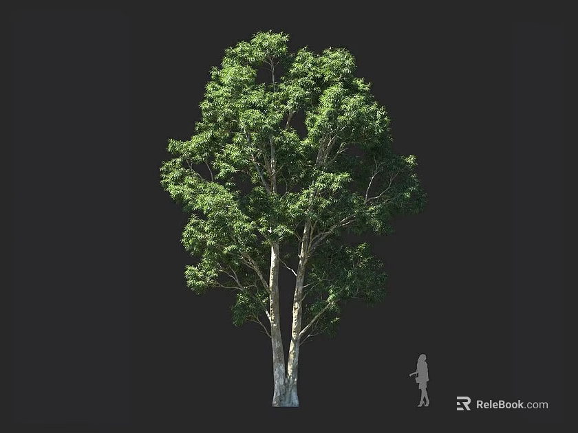 Tall Natural Arbor With Lush Green Leaves And White Trunk Near Human Silhouette 3d model 