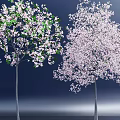 Two Flowering Arbor Trees With White Pink Blossoms Against Dark Blue Background