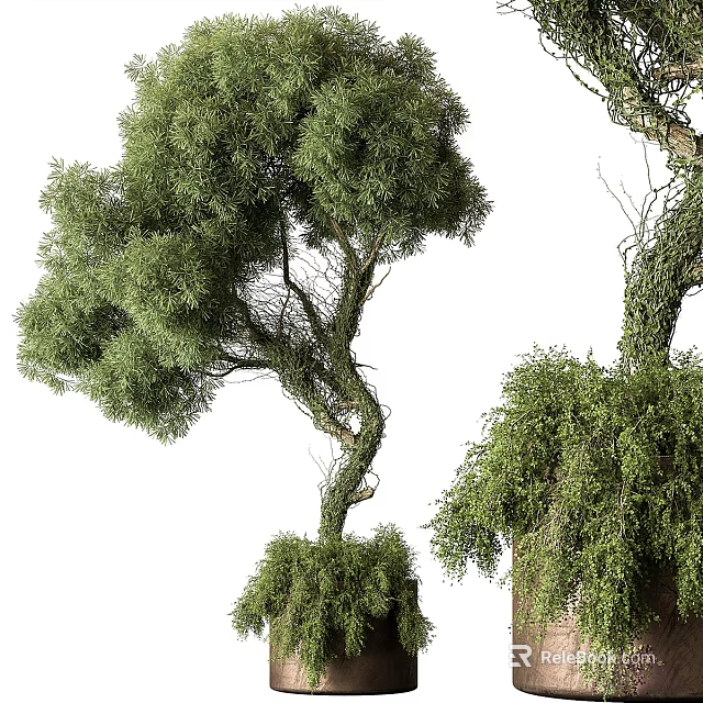 Artistic Bonsai Tree With Curved Trunk And Lush Green Foliage 3d model 