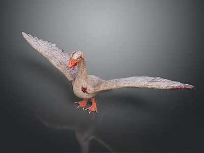 Spread Winged Gray Goose Model With Orange Beak Feet And Gray Background Reflection 3d model