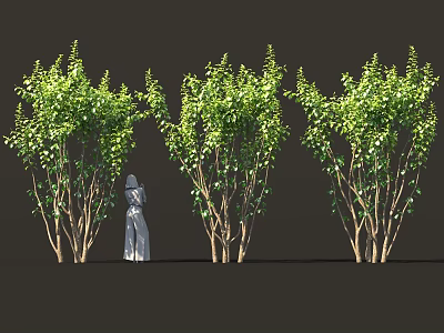 Green Leafy Shrubs Thriving In Outdoor Garden With Lush Foliage And Healthy Stems 3d model