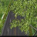 Municipal Road With Car Driving Along Lined By Trees And Green Belts On Both Sides