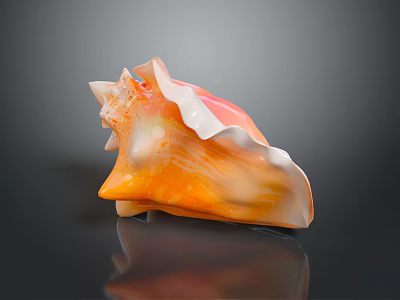 Orange and White Conch Shell with Wavy Edges on Black Background with Reflection 3d model