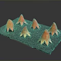 Six Orange Red Petal Shaped Items Arranged On Black Square Tray