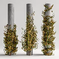 Lush Vines With Green And Orange Leaves Climbing On Gray Pillars