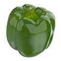 Fresh Green Bell Pepper Vegetable With Smooth Skin And Vibrant Color