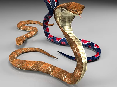 Reptile Snakes Displaying Brown Scaled Body Red Blue Patterns Coiled Form And Hooded Neck 3d model