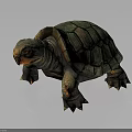 Detailed 3D Rendered Turtle With Green Textured Shell And Orange Head On Dark Background