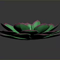 Vibrant Green Succulent Plant With Rosette Shaped Petals And Pink Edges