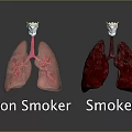 Smoking Effects on Oral Health Comparing Smoker and Non Smoker Teeth Condition