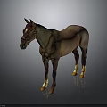 Brown Horse Wearing Reins With White Legs And Yellow Hooves In 3D Rendering