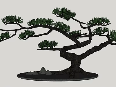 Artistic Pine Bonsai Tree with Curved Branches Green Needles and Small Hills on Black Base 3d model