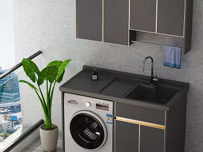 Modern Bathroom Cabinet With Washing Machine Sink Faucet And Green Plant 3d model